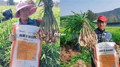 水溶肥廠家,水溶肥廠家直銷縮略圖