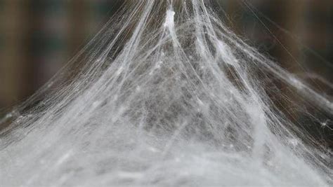 柞蠶絲產(chǎn)品(柞蠶絲制品)縮略圖