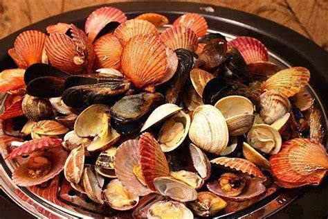 海鮮有哪些,海鮮有哪些好吃的縮略圖