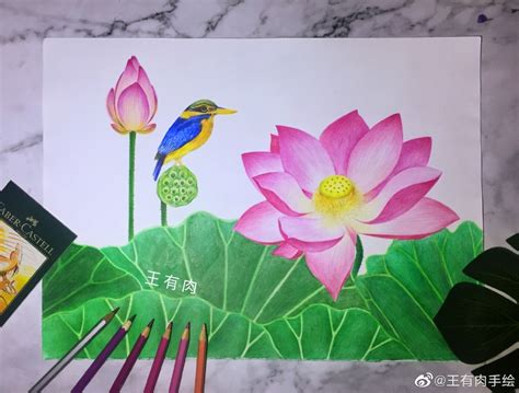 彩鉛簡(jiǎn)筆畫(huà),彩鉛簡(jiǎn)筆畫(huà)大全簡(jiǎn)單漂亮縮略圖