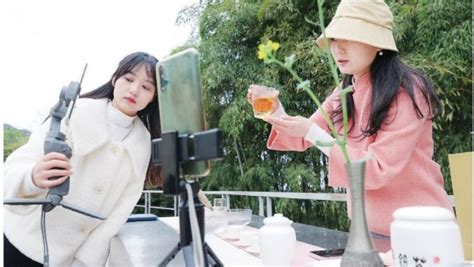 白茶直播(白茶直播介紹文案)縮略圖