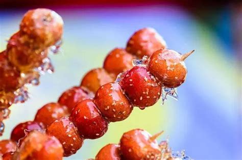 冰糖葫蘆批發進貨渠道(冰糖葫蘆批發進貨渠道織金)縮略圖