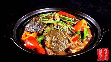 甲魚的家常做法(甲魚的家常做法燉湯)縮略圖