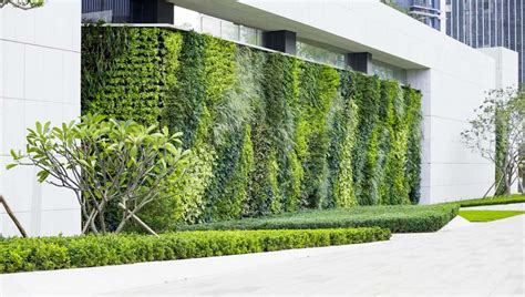 外墻綠化技術(shù)的作用有哪些,屋頂綠化技術(shù)優(yōu)缺點(diǎn)縮略圖