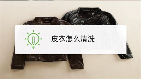 皮衣發霉了應該怎么清洗處理(皮衣發霉正確清洗方法)縮略圖