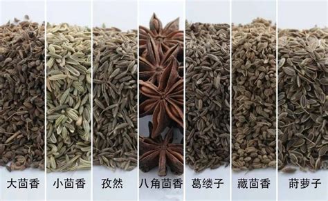 香辛料大全圖解有名字(香辛料超詳細講解大全)縮略圖