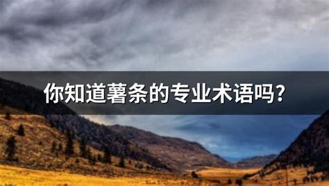 薯?xiàng)l英文怎么讀(薯?xiàng)l英文怎么讀啊)縮略圖