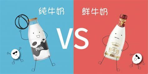 鮮奶和純牛奶哪個(gè)更有營(yíng)養(yǎng)(鮮奶和純牛奶哪個(gè)更有營(yíng)養(yǎng)呢)縮略圖
