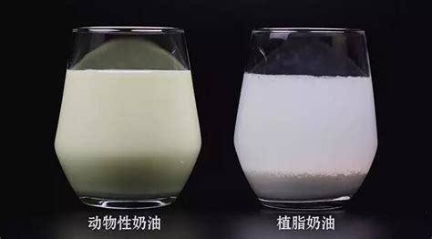 植物奶油與動物奶油哪個更健康,植物奶油和動物奶油的區(qū)別在哪里縮略圖