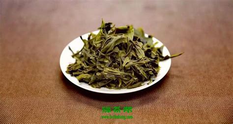 茶葉渣養(yǎng)什么花最好(喝剩的茶葉能倒在花盆里嗎)縮略圖